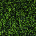 Indian Aster Greenery Panel