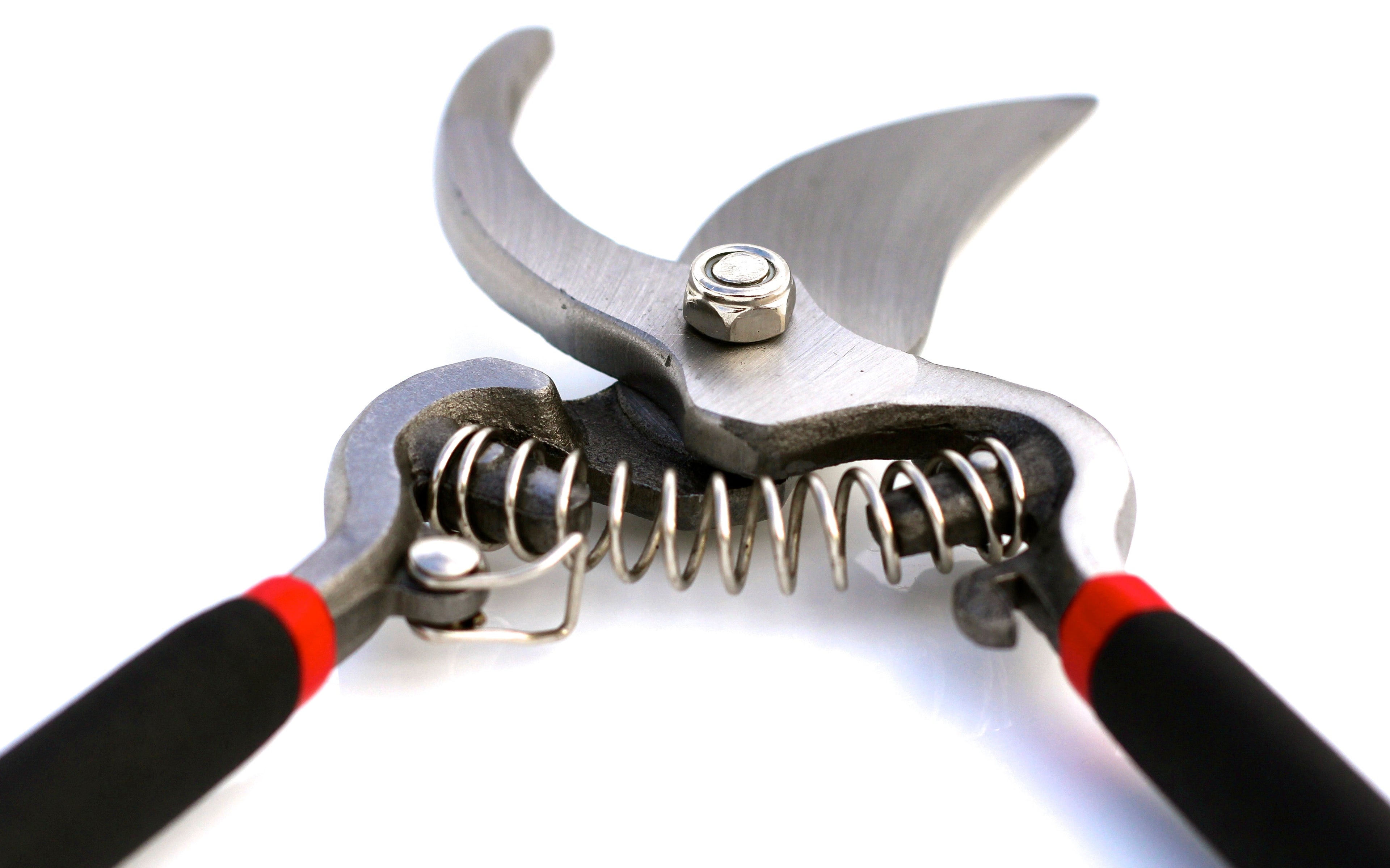 Classic Bypass Pruning Shears Clippers (Black)