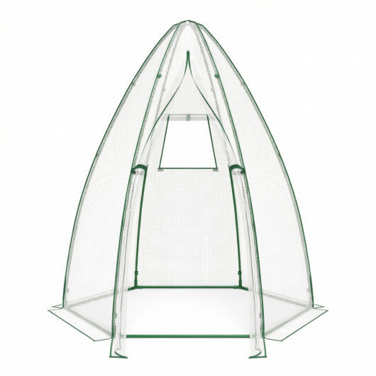 5.5 x 5.5 x 6 Feet Portable Mini Greenhouse with All-Weather PE Cover