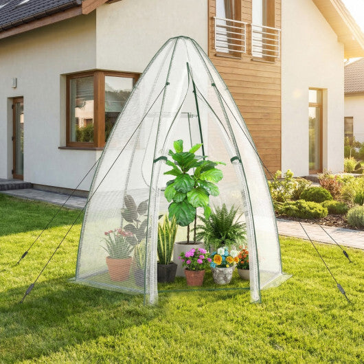 5.5 x 5.5 x 6 Feet Portable Mini Greenhouse with All-Weather PE Cover