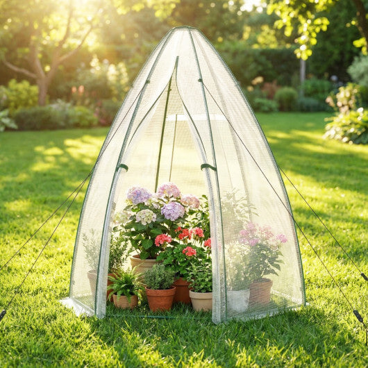 5.5 x 5.5 x 6 Feet Portable Mini Greenhouse with All-Weather PE Cover
