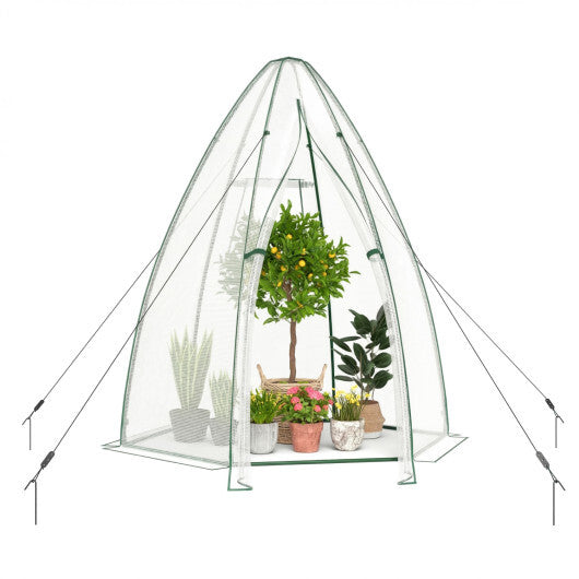 5.5 x 5.5 x 6 Feet Portable Mini Greenhouse with All-Weather PE Cover