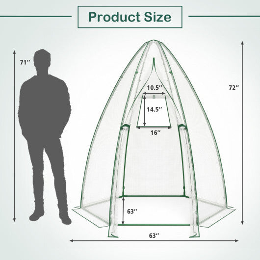 5.5 x 5.5 x 6 Feet Portable Mini Greenhouse with All-Weather PE Cover