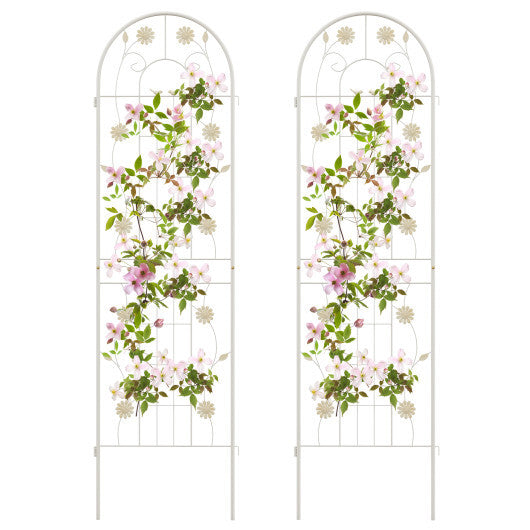 2 Pack 71 x 20 Inch Metal Garden Trellis Rustproof Plant Support for Climbing Plants-Green