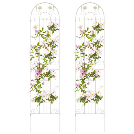 2 Pack 86.5 x 20 Inches Metal Garden Trellis for Climbing Plants-Green