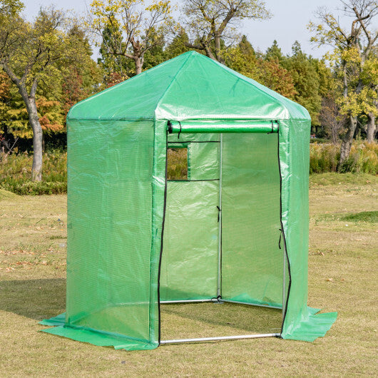 Walk-In Hexagonal Greenhouse with PE Cover and Metal Frame