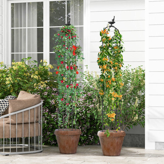 2-Pack Garden Obelisk Trellis for Climbing Plants-Black