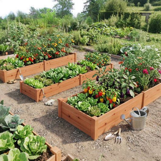 Set of 2 Wooden Vegetable Raised Garden Bed for Backyard-Orange