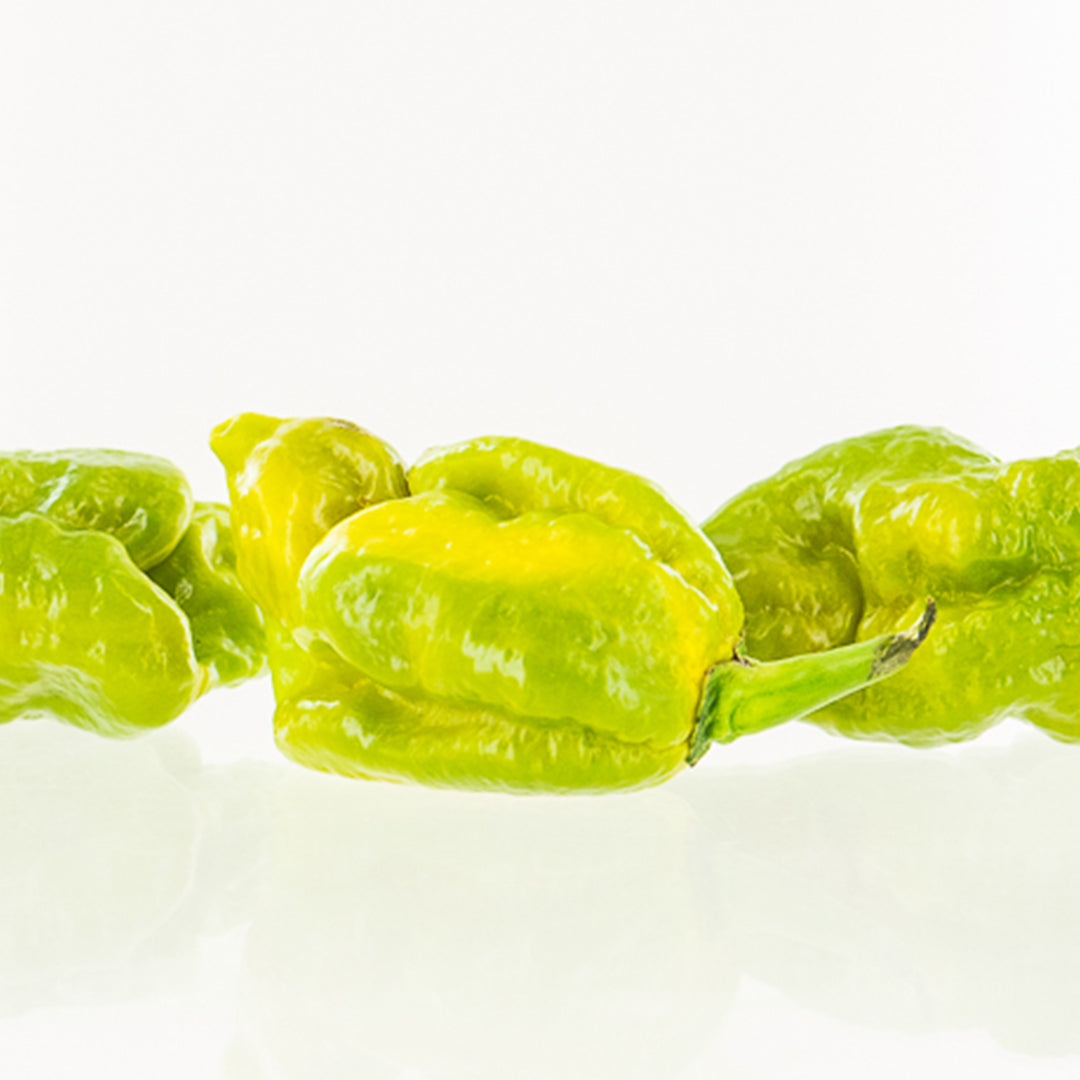 Gator Jigsaw Pepper Seeds