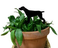 German Shorthaired Pointer Plant Stake (Style 1)