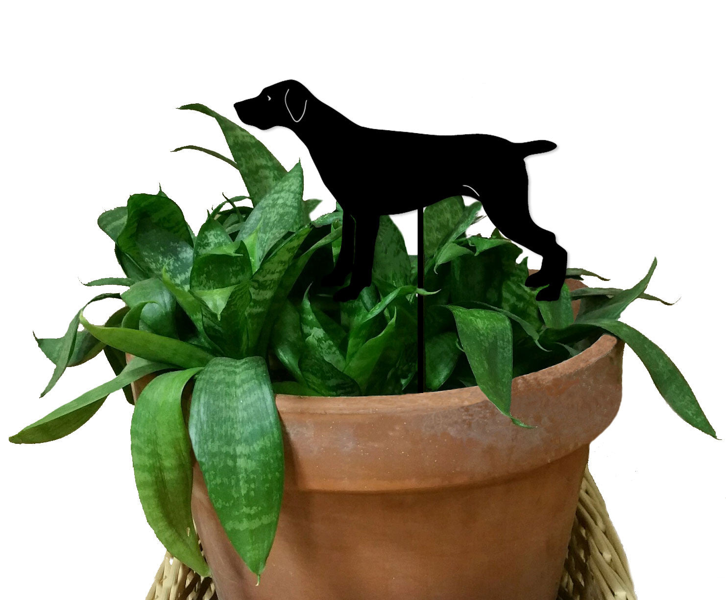 German Shorthaired Pointer Plant Stake (Style 1)