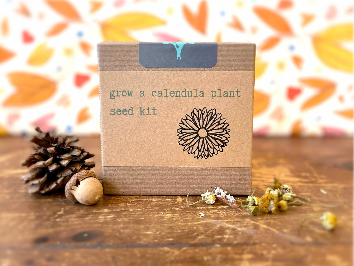 "Get Growing" Mindful Gardening Kit: Mindfulness Journal, Meditation Card + Growing Kit - Assorted (Winter Dreaming)