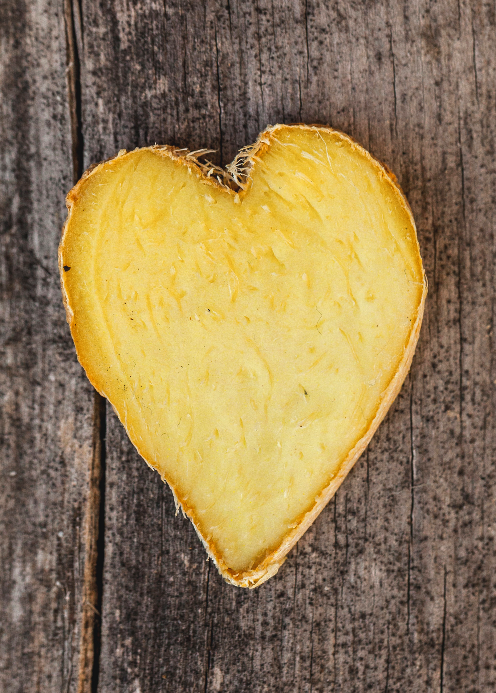 Ginger, Yellow (Zingiber officinale)