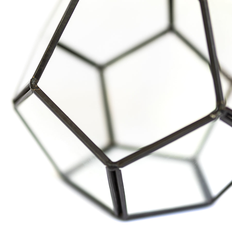 DIY Glass Pentagon Terrarium