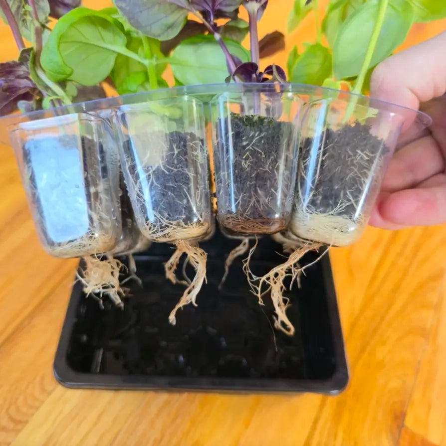 Pre-seeded Seed Starter (Grab & Grow)