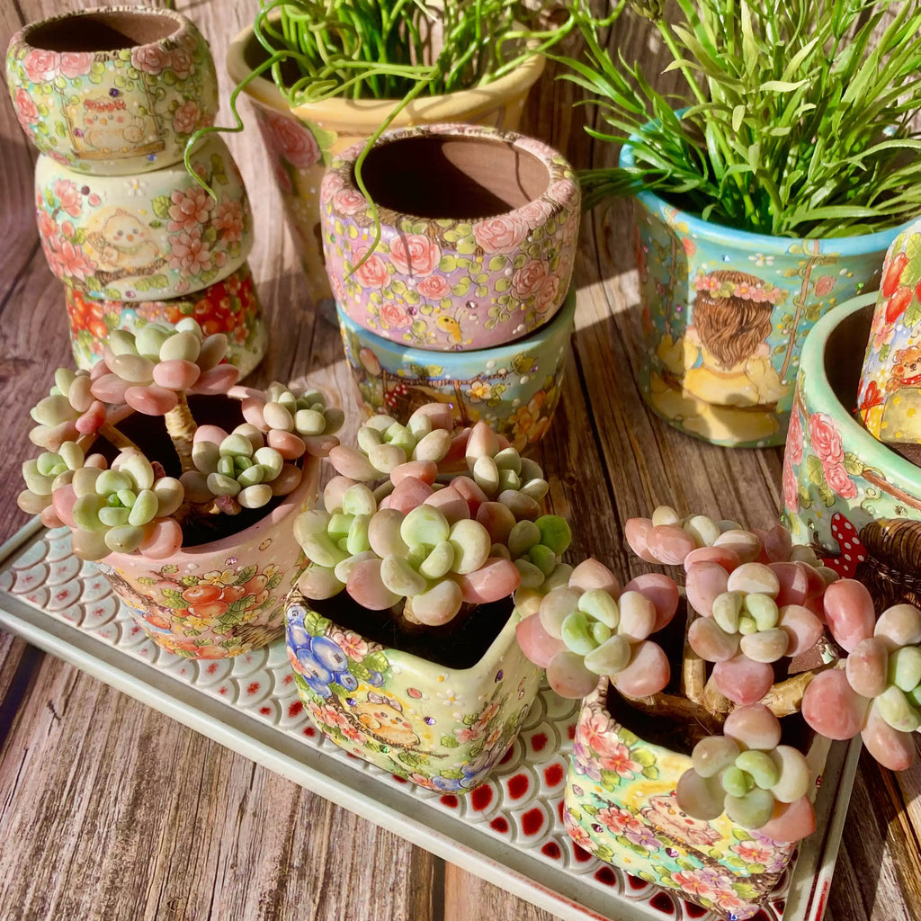 Graptosedum Miul