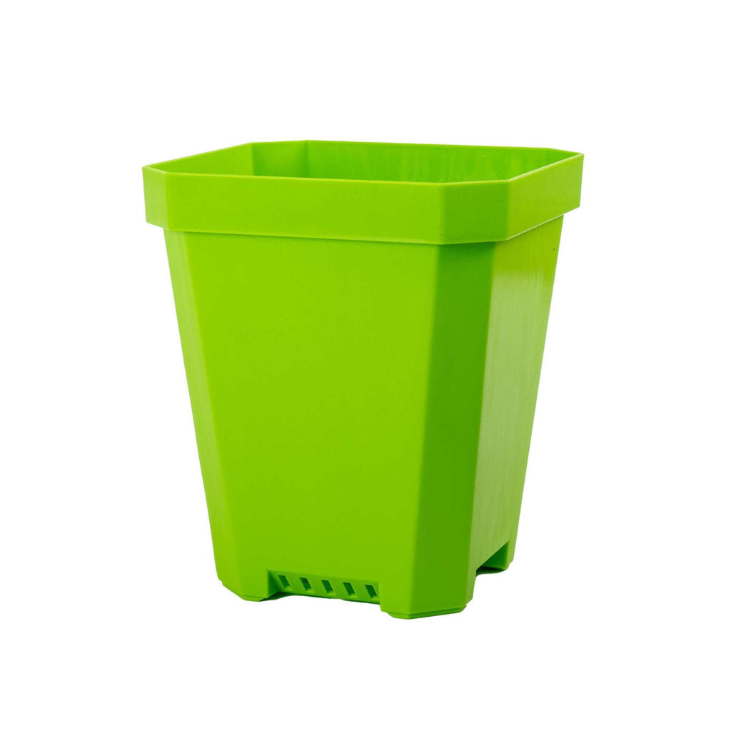 5" Nursery Pots with Insert Tray