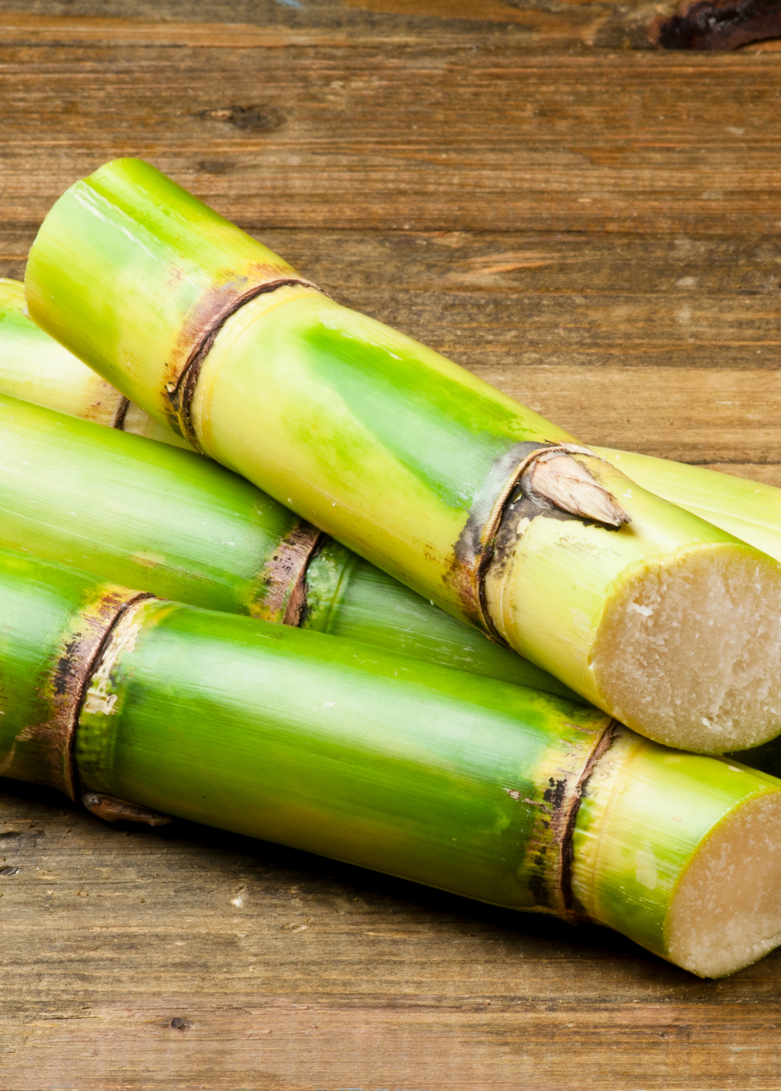 Sugar Cane 'Green'