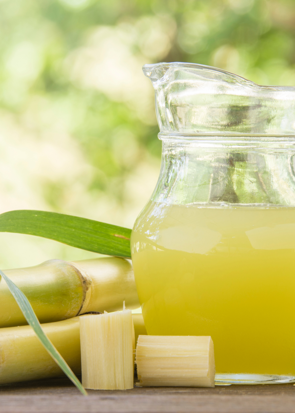 Sugar Cane 'Green'