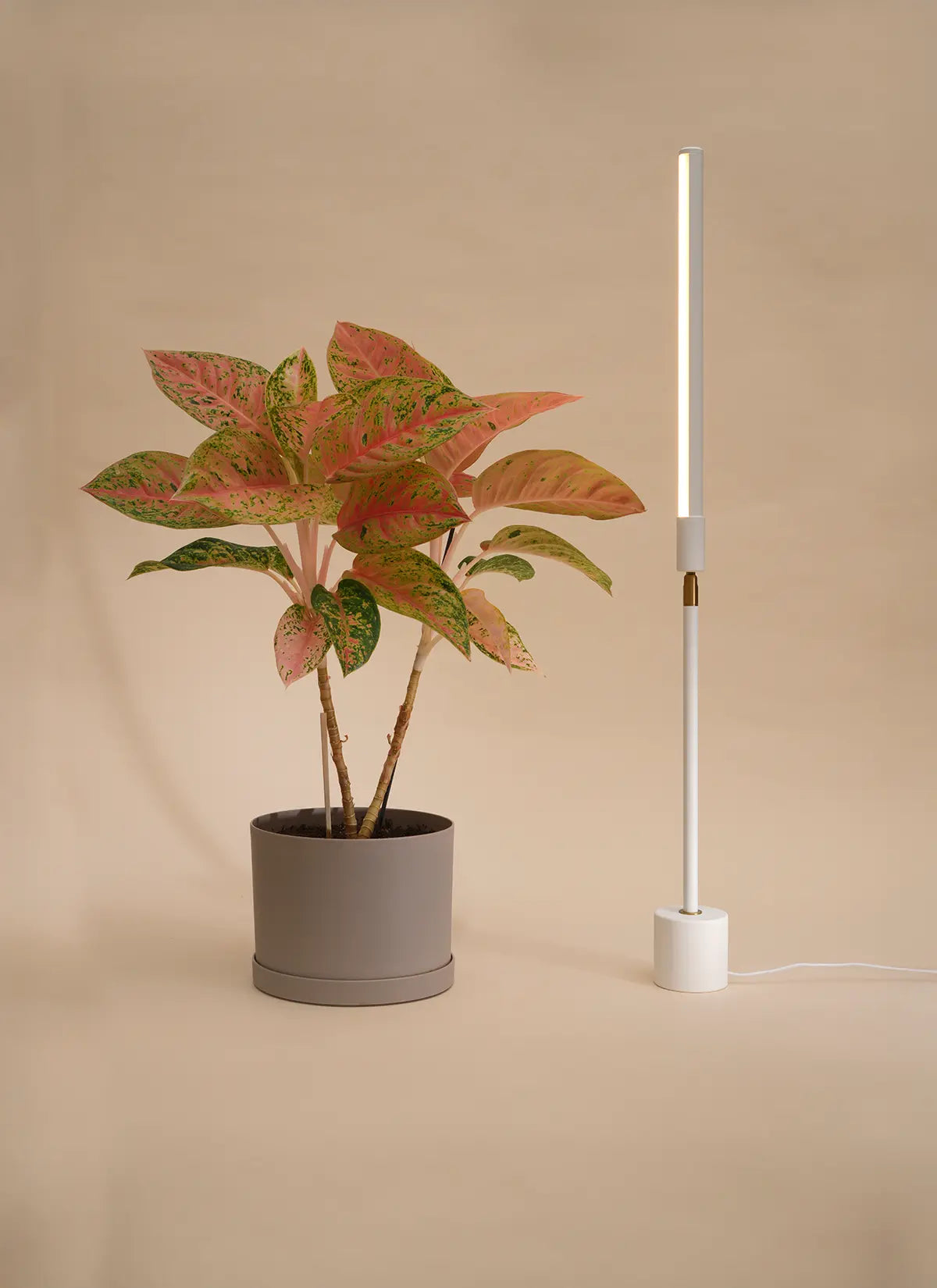 Versa™ Tabletop Grow Light
