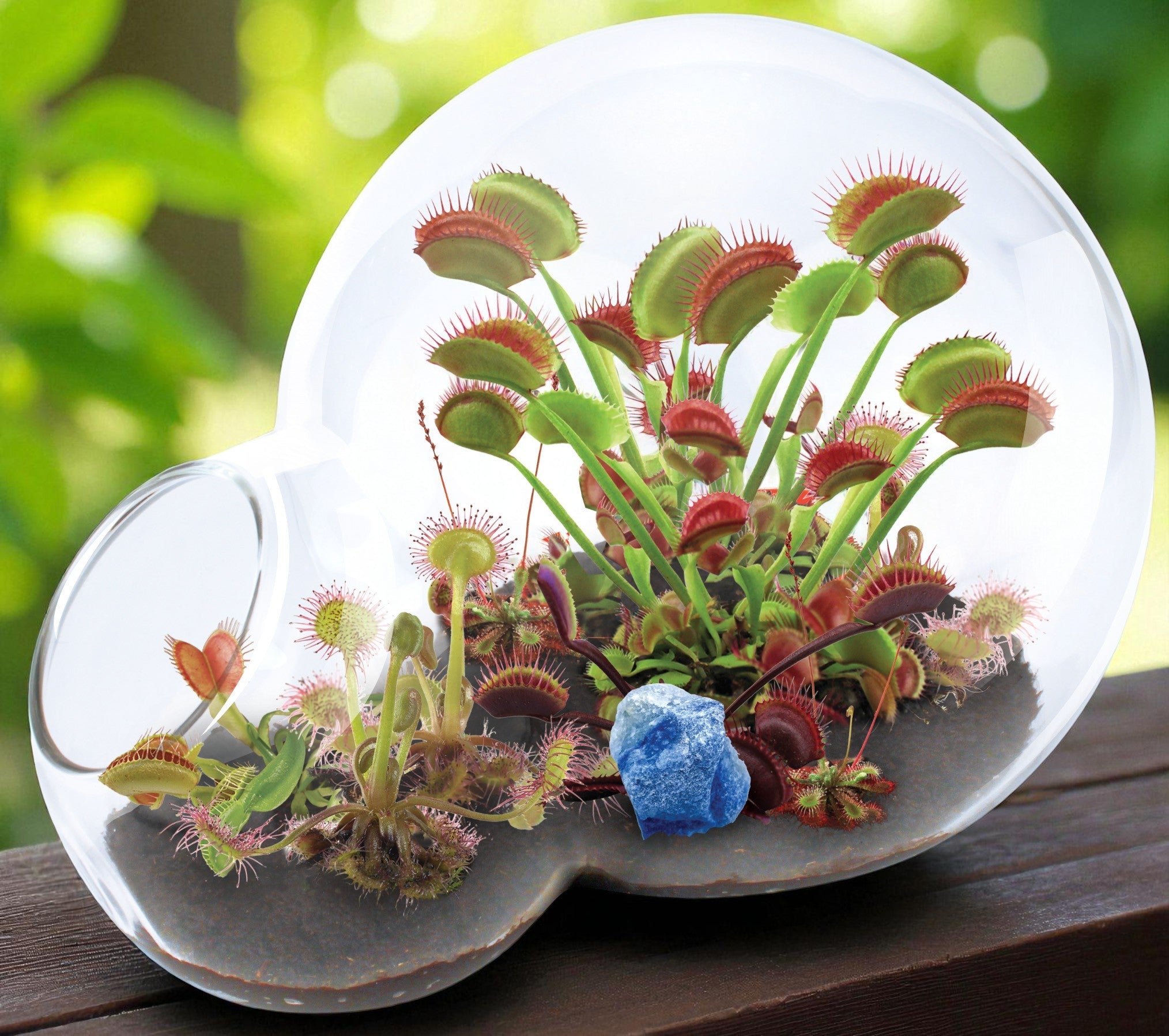 Unique Seed Starter Kits & Terrarium Gifts | Easy Grow Kits for Home &  Garden at Nate's Garden Supply