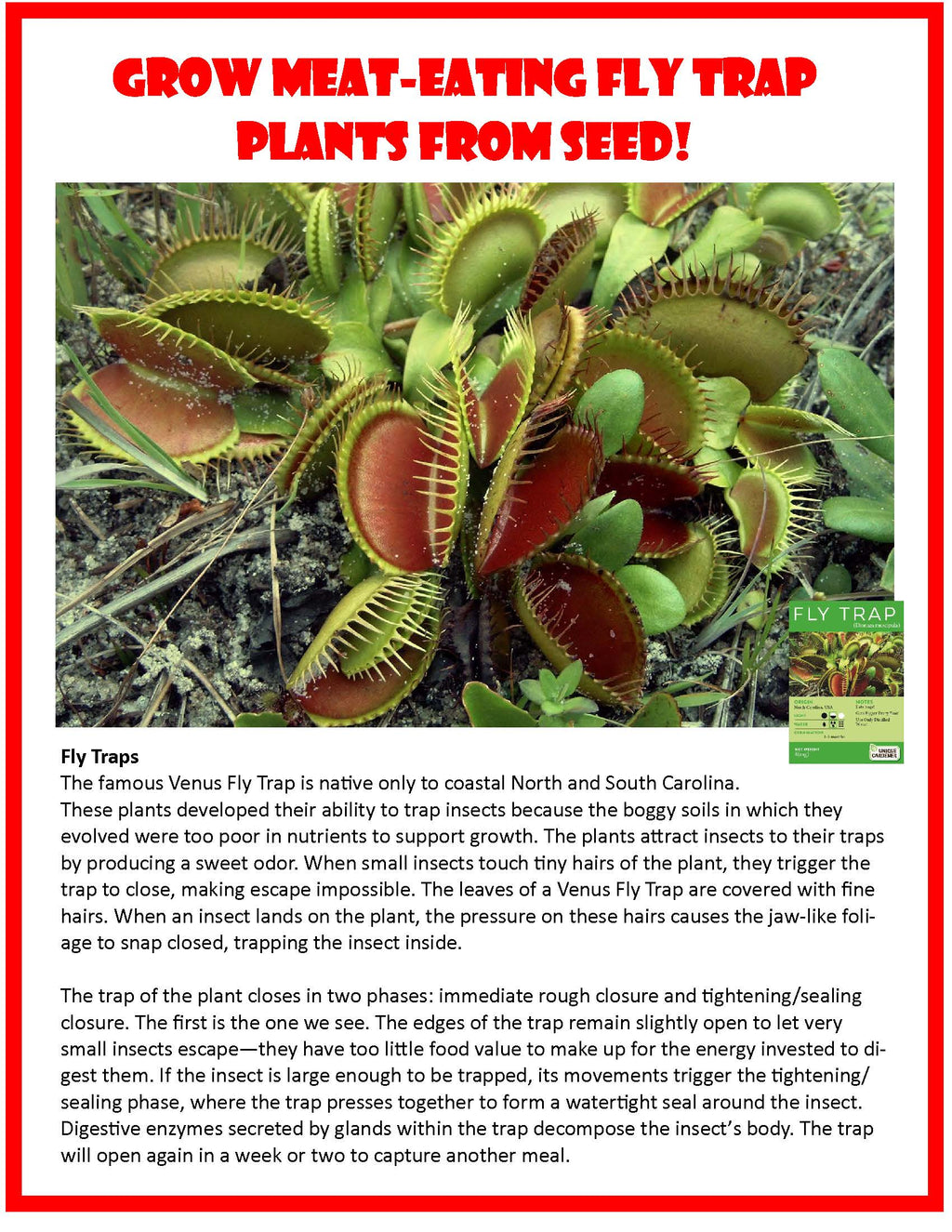 Carnivorous Growarium Meat-Eating Seed Terrarium Kit