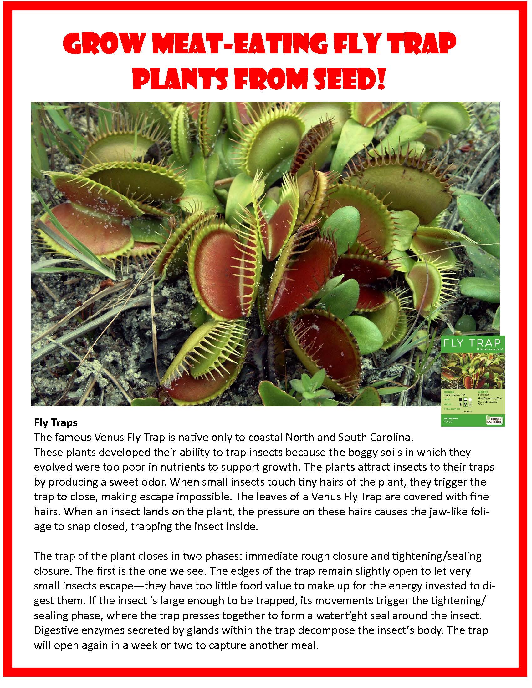 Carnivorous Growarium Meat-Eating Seed Terrarium Kit