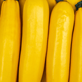 Summer Yellow Squash Seeds