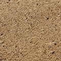 Garden Sand