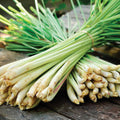 Lemongrass