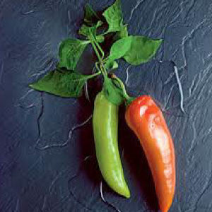 HOT PEPPER Seeds, Anaheim Chili