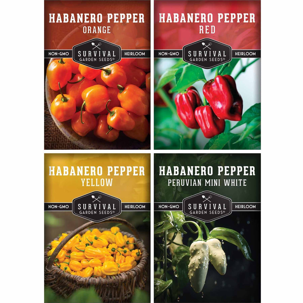 Habanero Pepper Seed Collection – Red, White, Yellow & Orange Varieties for High-Heat, High-Yield Gardens