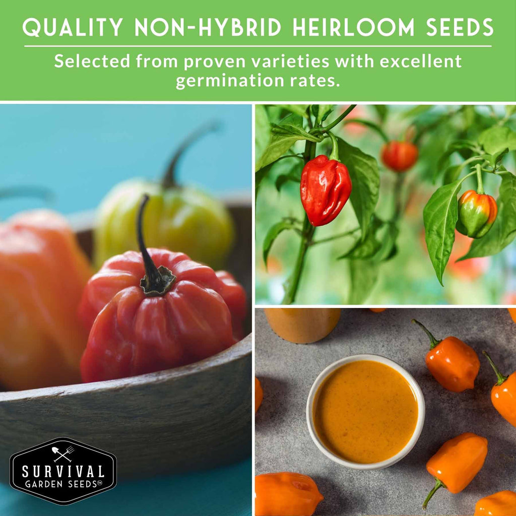 Habanero Pepper Seed Collection – Red, White, Yellow & Orange Varieties for High-Heat, High-Yield Gardens