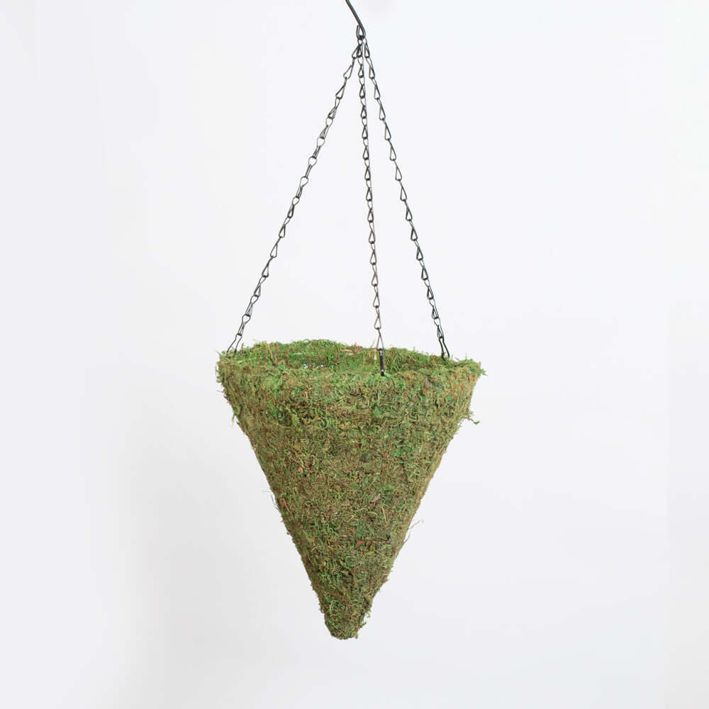 Green Preserved Moss Hanging Cone Basket Triangle Planter
