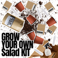Grow your own Salad Kit