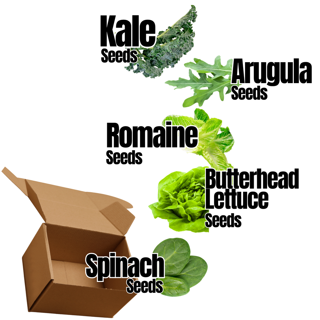 Grow your own Salad Kit