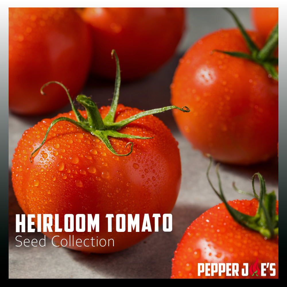 Pepper Joe's Heirloom Tomato Seed Collection