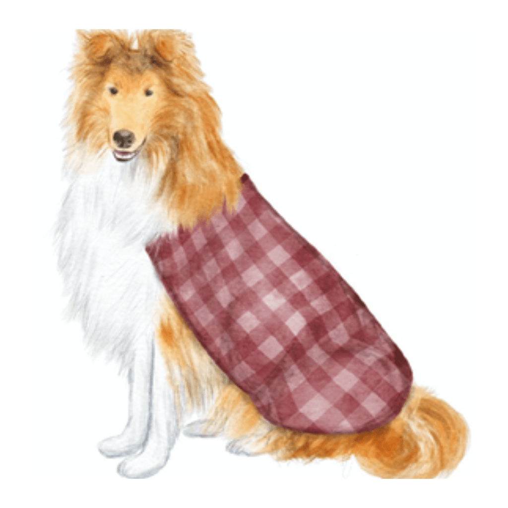 Her Majesty, Maroon Garden Stake