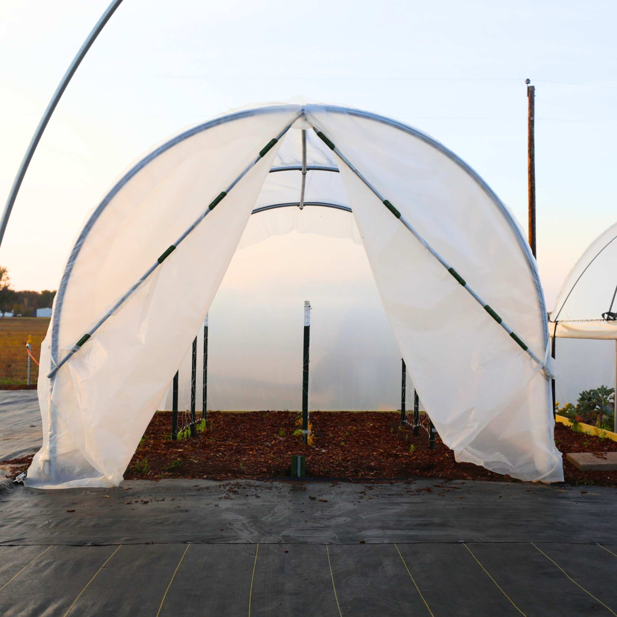 10' x 12' Backyard Greenhouse Kit with Scissor Door & Roll-Up Sides