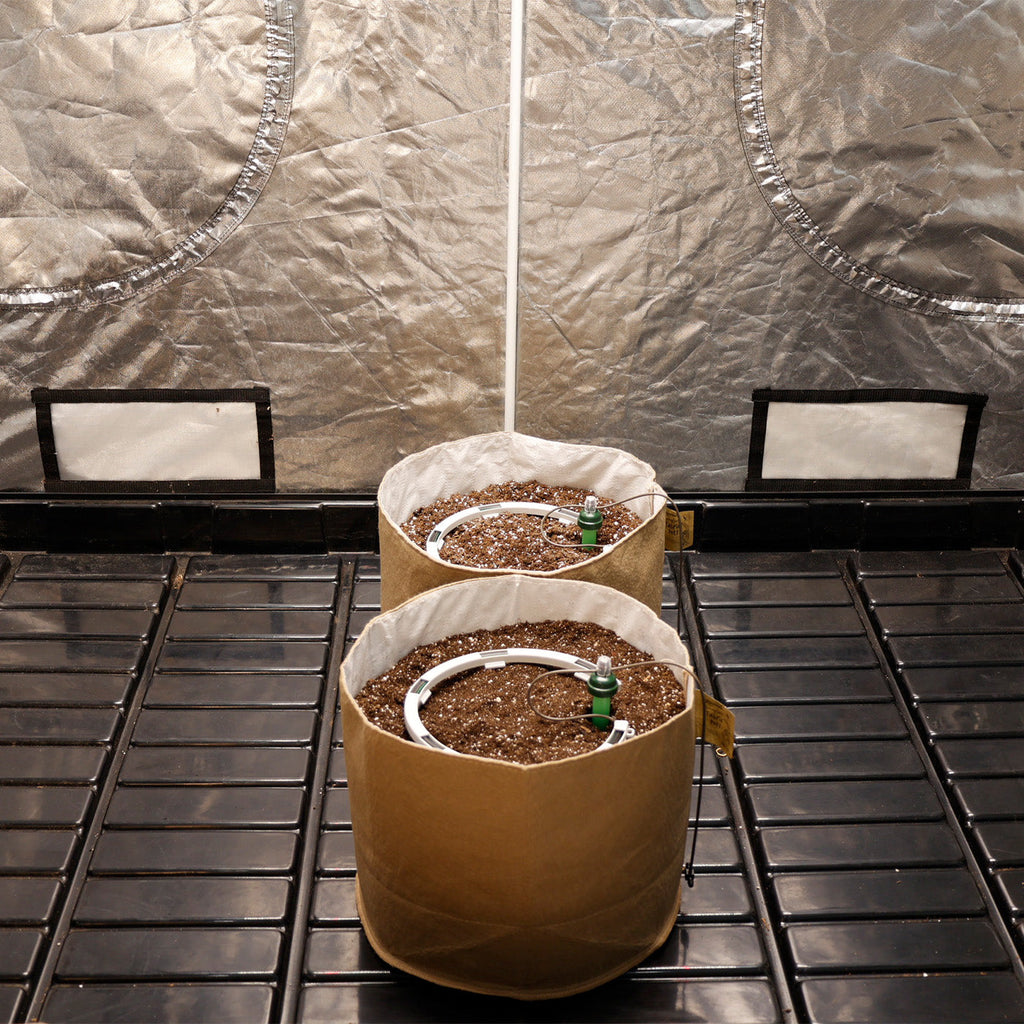 Preset Blumat Grow Tent Irrigation Kit