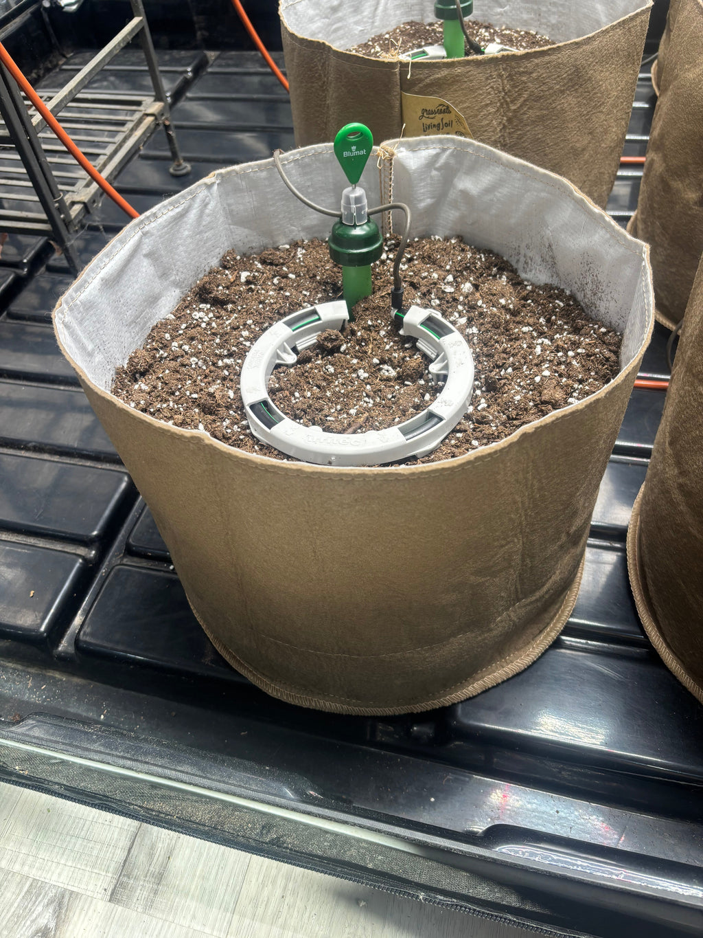 Preset Blumat Grow Tent Irrigation Kit