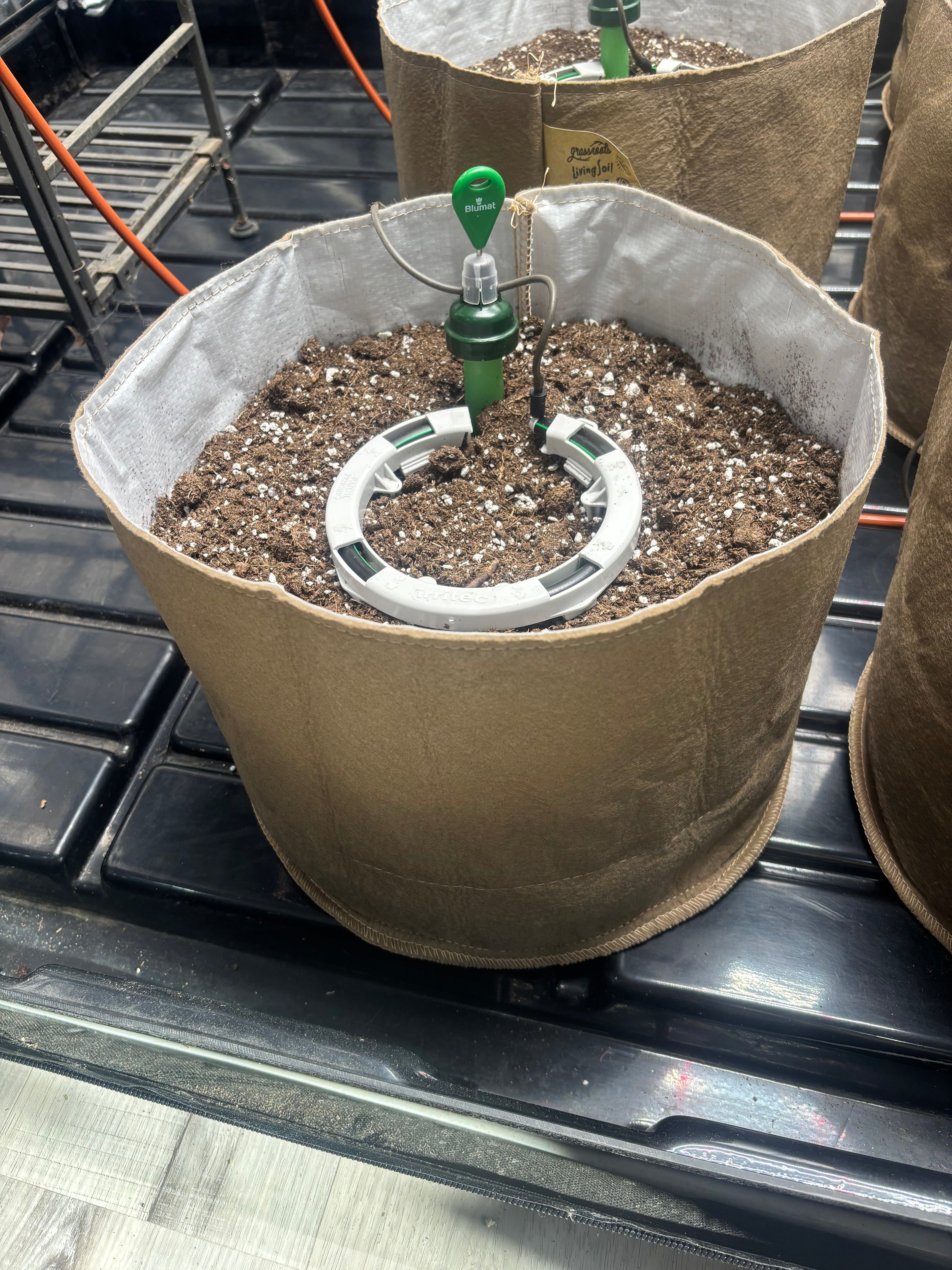 Preset Blumat Grow Tent Irrigation Kit