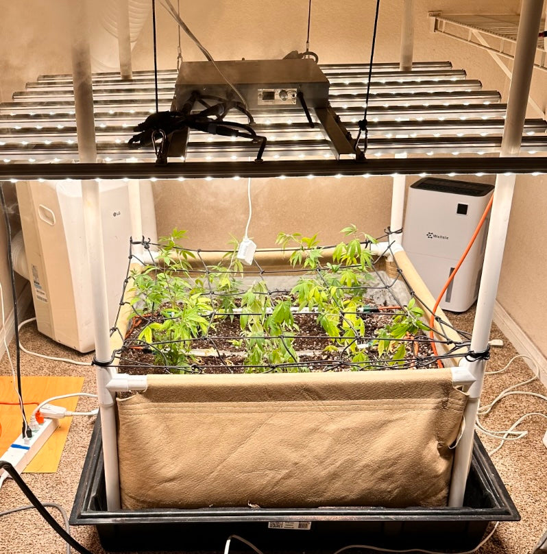 Preset Blumat Grow Tent Irrigation Kit