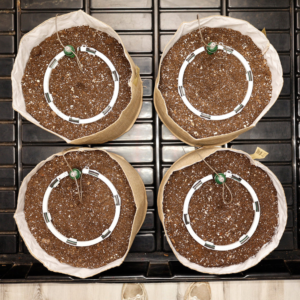 Preset Blumat Grow Tent Irrigation Kit