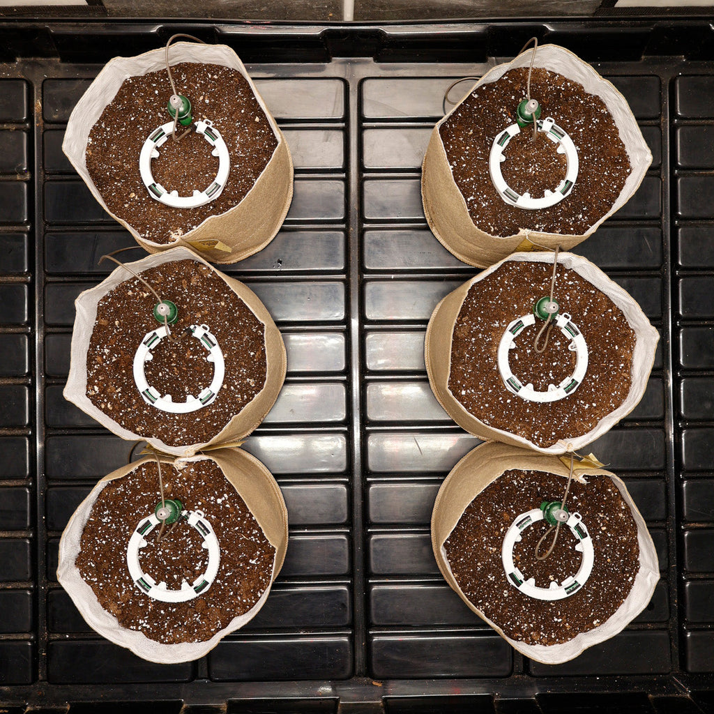 Preset Blumat Grow Tent Irrigation Kit