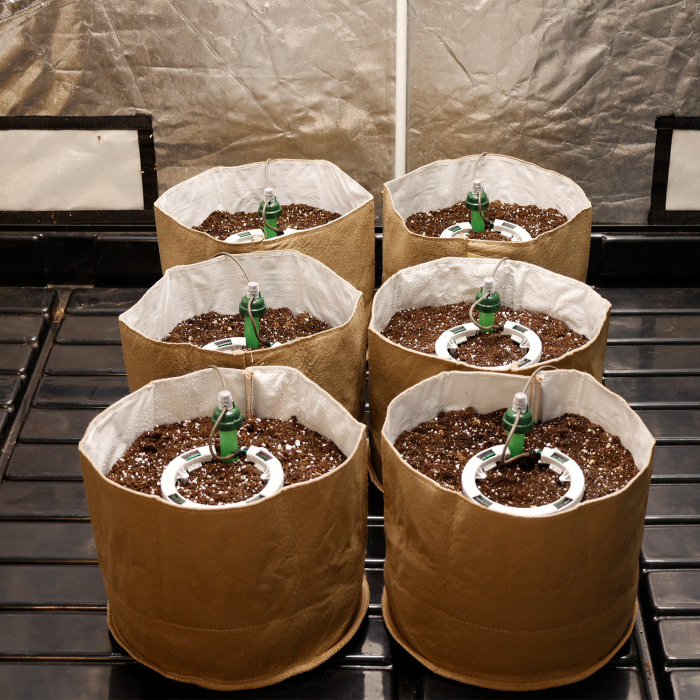 Preset Blumat Grow Tent Irrigation Kit