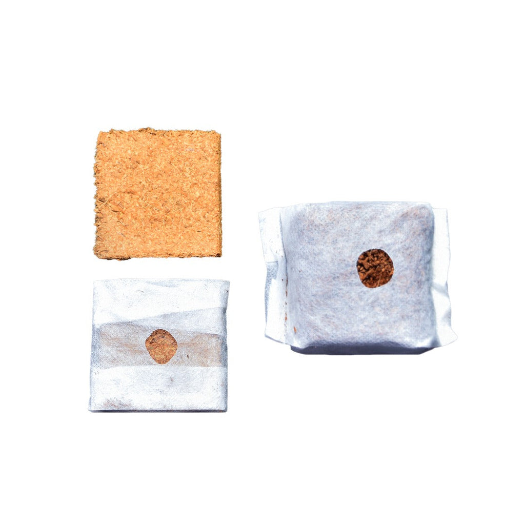 GroEzy™ 6" Coco Grow Cubes