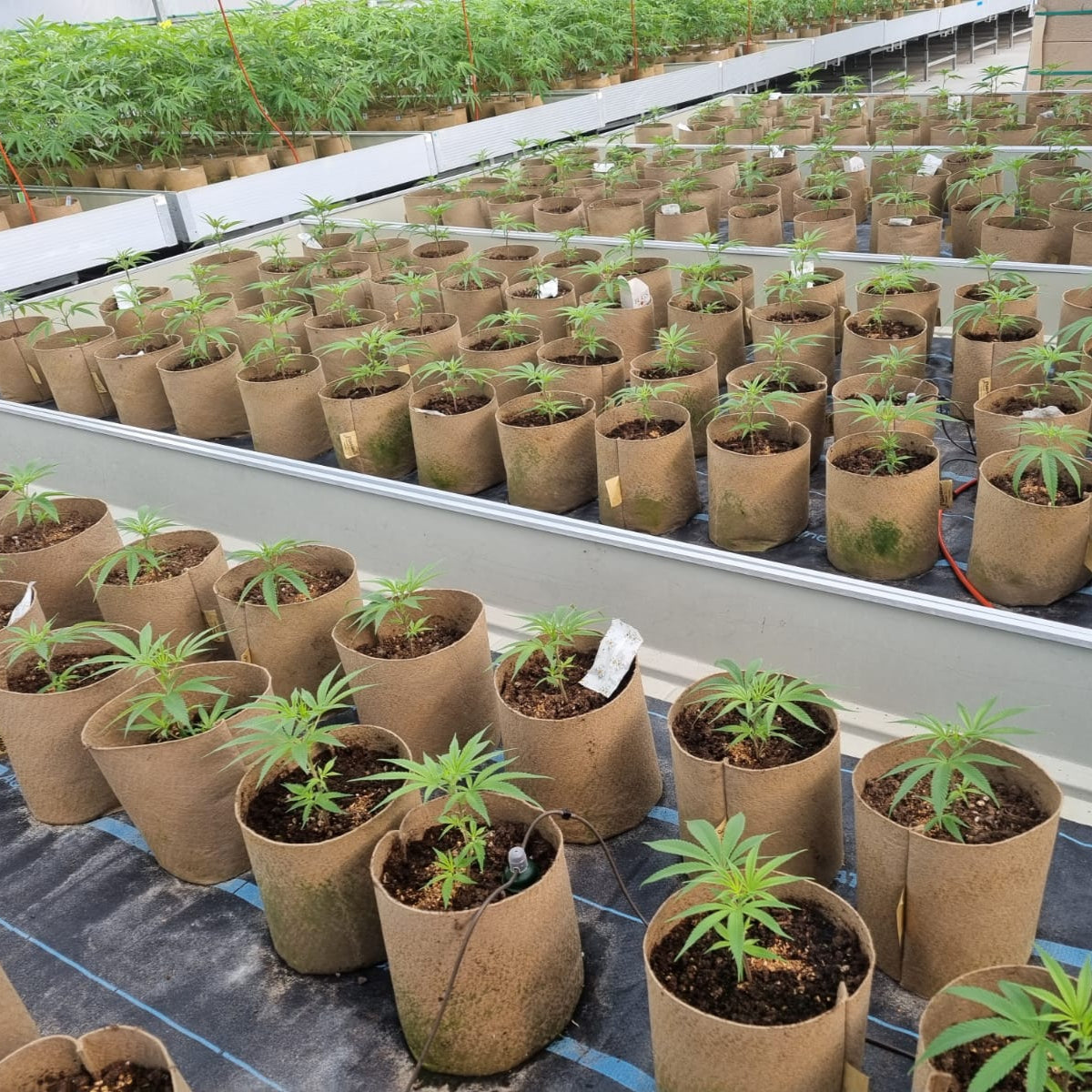 AquaMat Capillary Irrigation Mat Systems