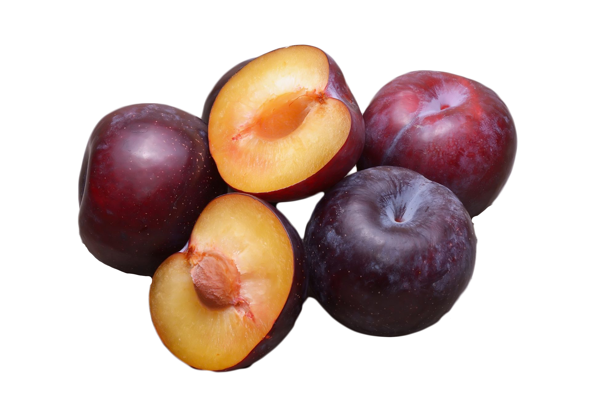 5 AMERICAN PLUM Prunus Americana Red Purple Fruit White Flower Shrub Tree Seeds