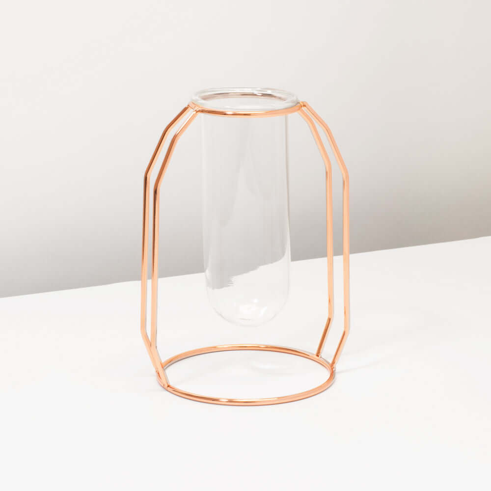 Lyfe Propagation Station - Single Tube Rose Gold